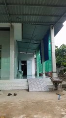 Chim bay vào nhà-điềm báo gì