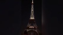 tn7-VIDEO- Torre Eiffel rinde homenaje a víctimas de COVID-19 con espectacular efecto de luces-090620