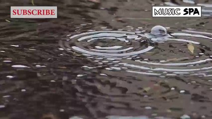 CALM MUSIC TO FOCUS - MÚSICA CALMADA PARA CONCENTRARSE