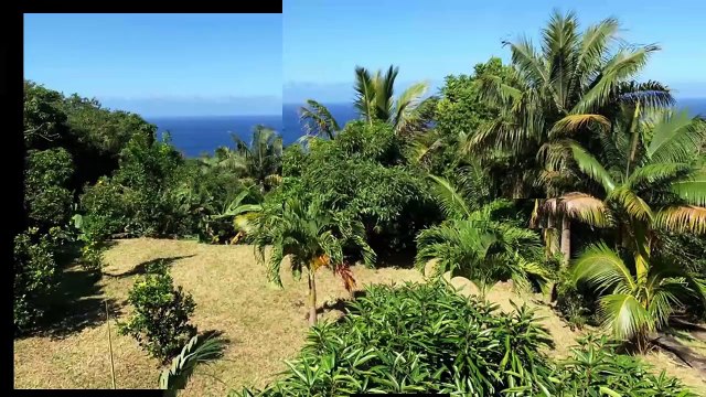 Hangar agricole vendu 158 400 € HAI par le Réseau MAXImmo, La Réunion 974