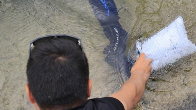 FETÖ şüphelisi operasyonda cep telefonunu sulama kanalına attı