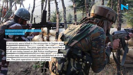 J-K: Three militants killed in Shopian encounter