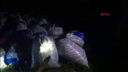 Van'da çuvallar içinde 12 ton inci kefali ele geçirildi