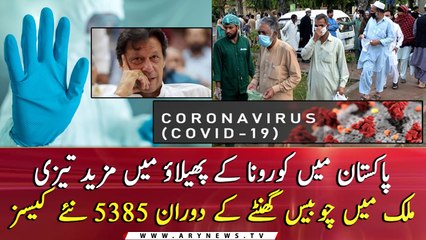 5385 new infections in last 24 hours IN Pakistan