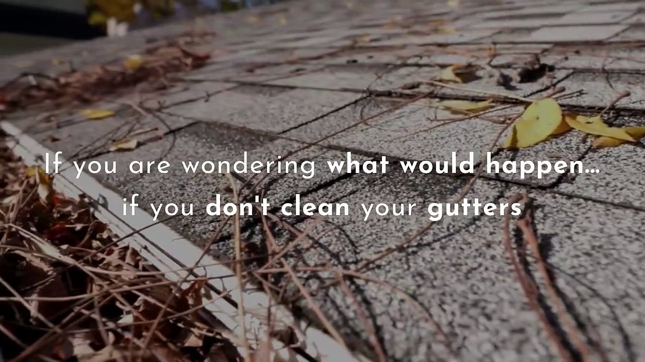Gutter Cleaning - Gutter Cleaning Company