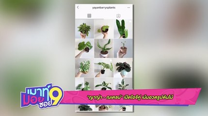 เมาท์มอยซอย 9 : “ญาญ่า – ณเดชน์” เปิดไอจีคู่ เน้นอวดรูปต้นไม้