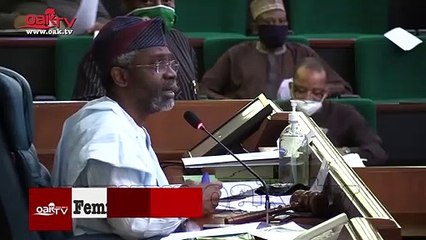 9th National Assembly set to mark one year anniversary