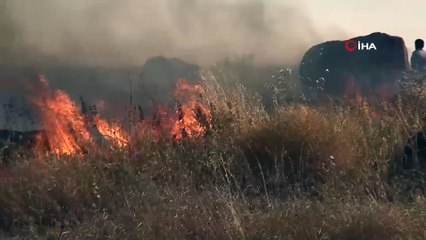 Скачать видео: Şanlıurfa'da çıkan yangında 400 dönüm ekili arazi kül oldu