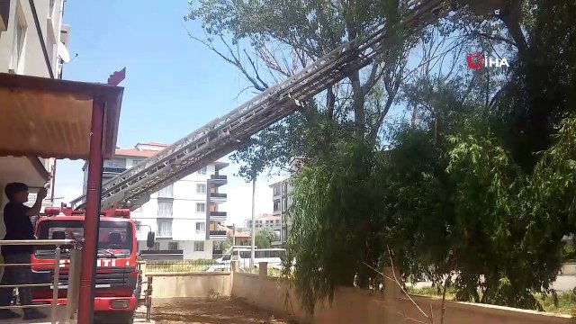 Ağaçta ayağına ip dolanan karga itfaiye ekipleri tarafından kurtarıldı