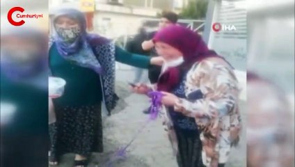 Ölen kedisi için ağıt yaktı