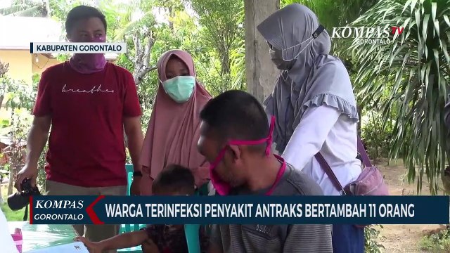 Warga Terinfeksi Penyakit Antraks Dikabupaten Gorontalo Bertambah 11 Orang