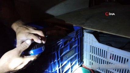 Şuhut'ta trafo hırsızları kıskıvrak yakalandı