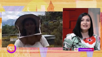 Rritja e bletëve, të kujdesesh për natyrën