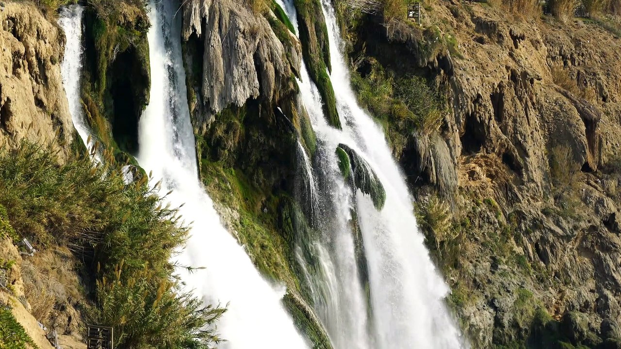 Pexels Videos 1722694