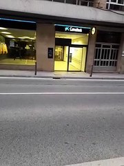 Así han intentado apresar a un zorro que se han encontrado en una sucursal bancaria de Tafalla
