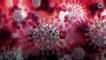 Le coronavirus circulait déjà en Chine à l’été 2019 d'après cette nouvelle étude