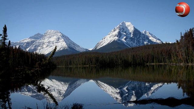 Reggae Chill Out Music 40m HD - Best Beats 2020 by DigiApps