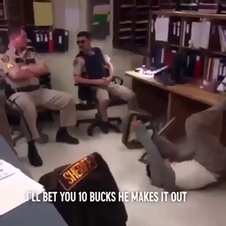 Police support prisoner