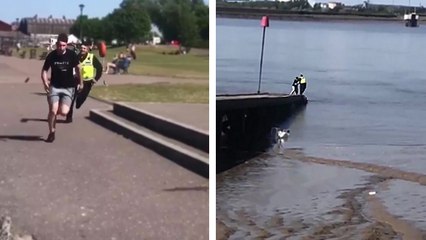 Il balance un policier à l'eau pour s'échapper