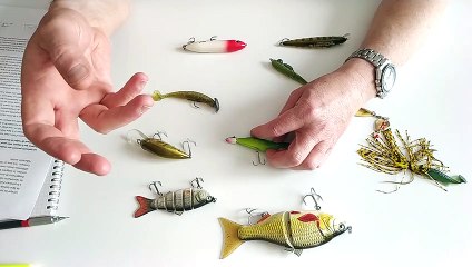 Connaitre le rôle de la ligne latérale des poissons pour  mieux pêcher