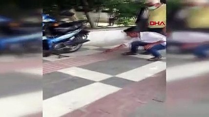 Kahvehanede oturanların masasına yılan düştü