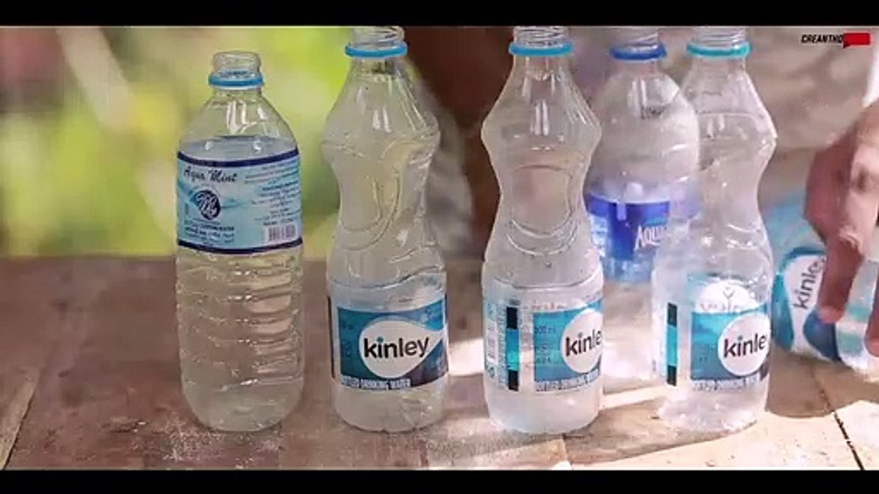 Garlic_Growing_in_Plastic_Bottles_සුදුලුණු_-_sudulunu_wagawa_grow_onion