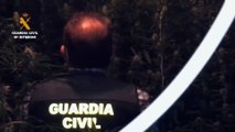 La Guardia Civil detiene a seis personas por el cultivo y tráfico de marihuana en Puente Genil