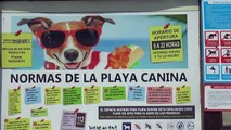 Así es la ducha para perros en la playa  