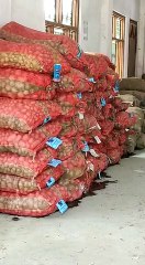 मेनका गांधी के संसदीय क्षेत्र में सड़ गई गरीबों में बंटने वाली आलू