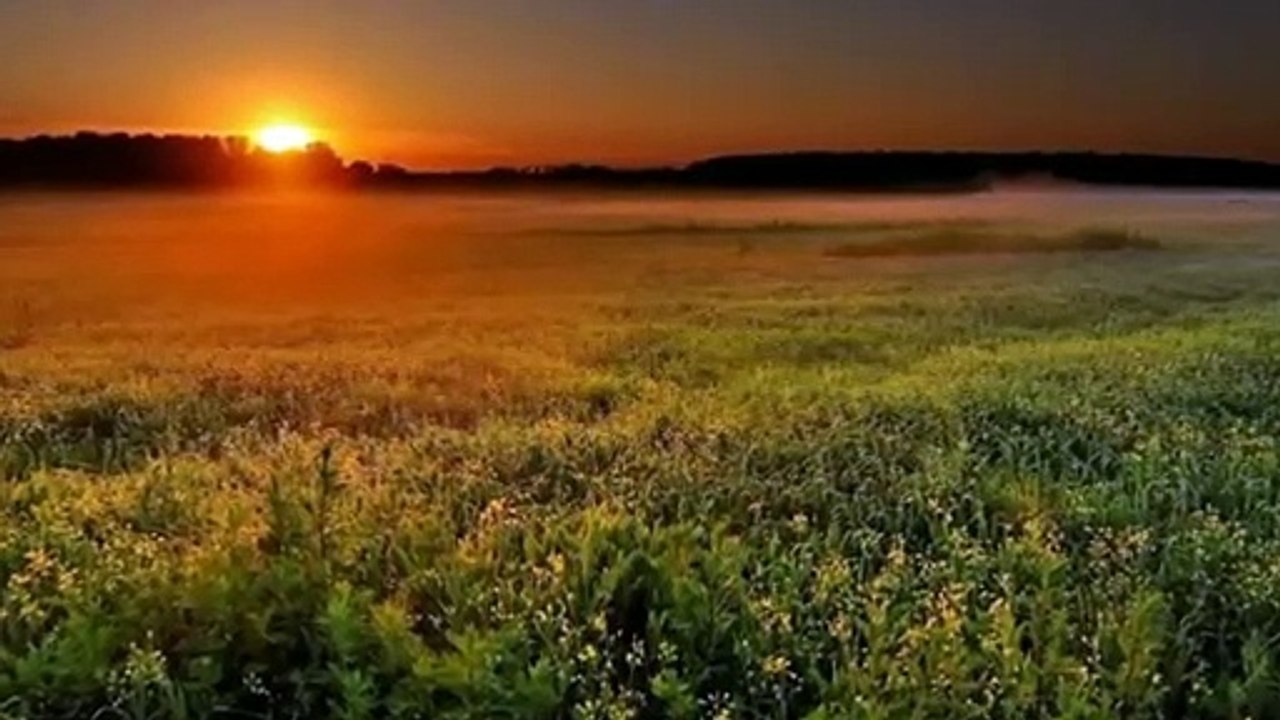 ناصر المزداوي مرات