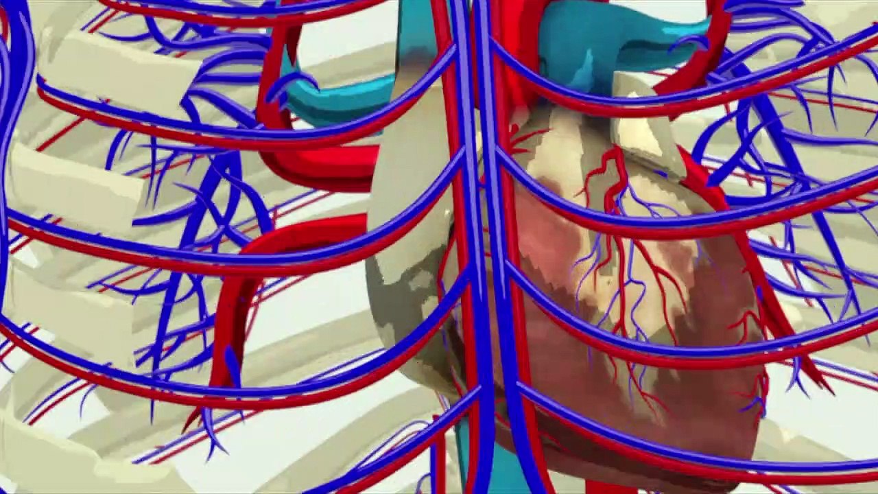 Videografik: Schwere Covid-19-Verläufe bei Kindern