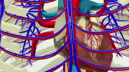 Videografik: Schwere Covid-19-Verläufe bei Kindern