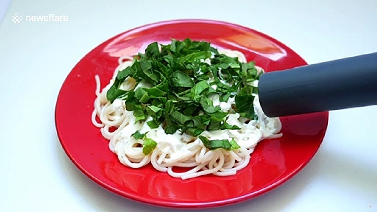 YouTuber vacuums various household items such as seeds and noodles in fascinating footage