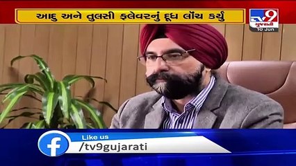 Amul launches Garlic and Tulsi flavored milk to boost immunity - Tv9GujaratiNews