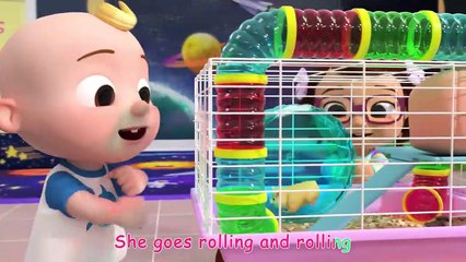 Class Pet Song   CoComelon Nursery Rhymes & Kids Songs