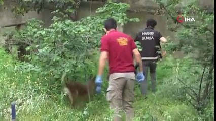 Bursa'da bin polisle yapılan uyuşturucu operasyonunda 18 gözaltı