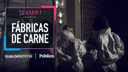 TEASER 1 | 'Fábricas de Carne', un reportaje de Igualdad Animal y 'Público'