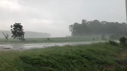 Download Video: Straight-line winds roar through Michigan