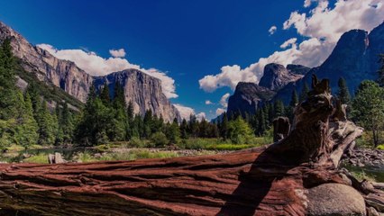 Yosemite Is Partially Reopening This Week With New Reservation System