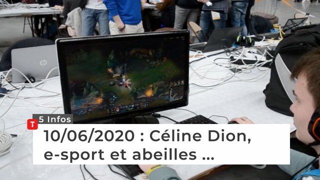 Céline Dion, e-sport et abeilles ... Cinq infos bretonnes du 10 juin