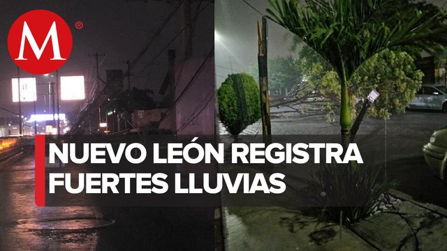 Lluvias dejan árboles caídos y cortes de energía en Nuevo León