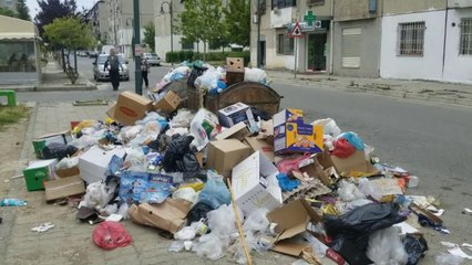 Download Video: Arrestohet, hodhi plehrat në rrugë/ Durrës, Administratori i kompanisë akuzohet për ndotje mjedisi