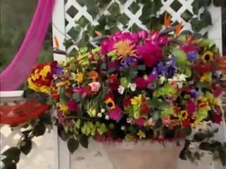 WholeBlossoms $5000 Prize on VH1-s Wedding Wars