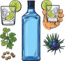 A Distillery Accidentally Sold Gin Bottles Full of Hand Sanitizer