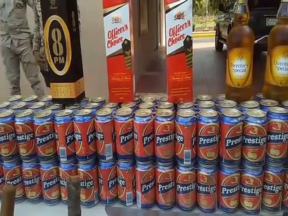 Más de 400 haitianos ilegales son repatriados