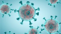 U.S. Coronavirus Cases Now Over 2 million