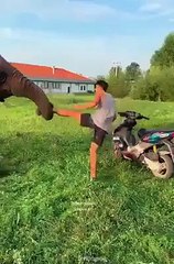 हाथी मेरा साथी ।