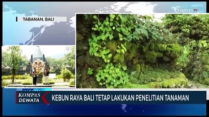New Normal! Kebun Raya Bedugul Bali