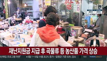 재난지원금 지급 후 곡물류 등 농산품 가격 상승