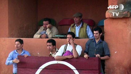 Colombian capital to ban killing, animal abuse in bullfights